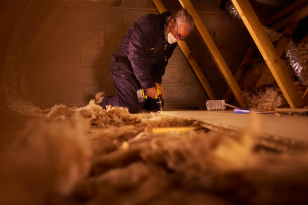 Best Insulation for Specific Applications in Petaluma, CA